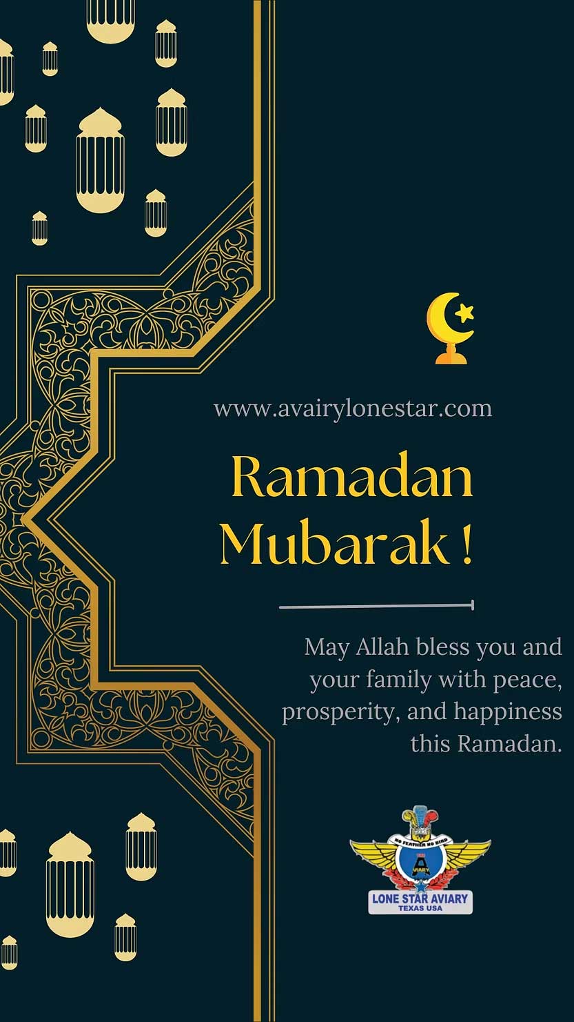 HAPPY RAMADAN
